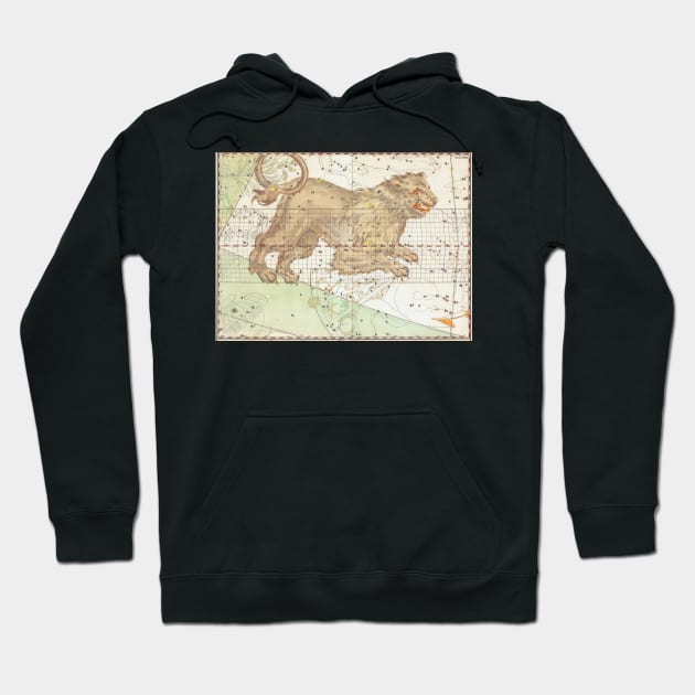 Leo the Lion Astrological Sign Hoodie by mike11209